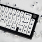 Animal Party 104+34 PBT Dye-subbed Keycap Set Cherry Profile Compatible with ANSI Mechanical Gaming Keyboard